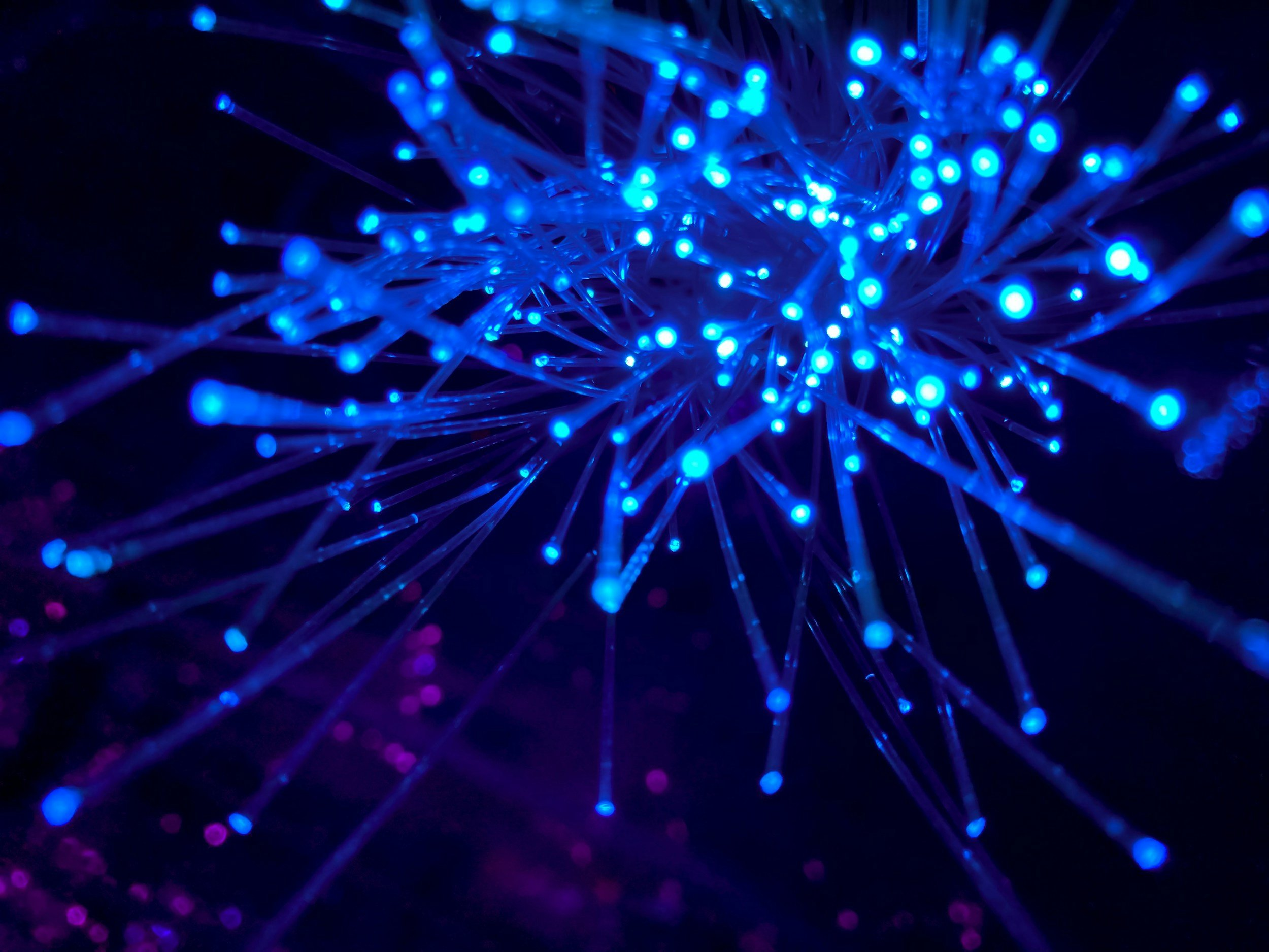 AI Cluster Interconnect